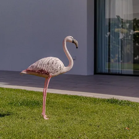 Villa Luxus Don Carlos - Playa De Americas